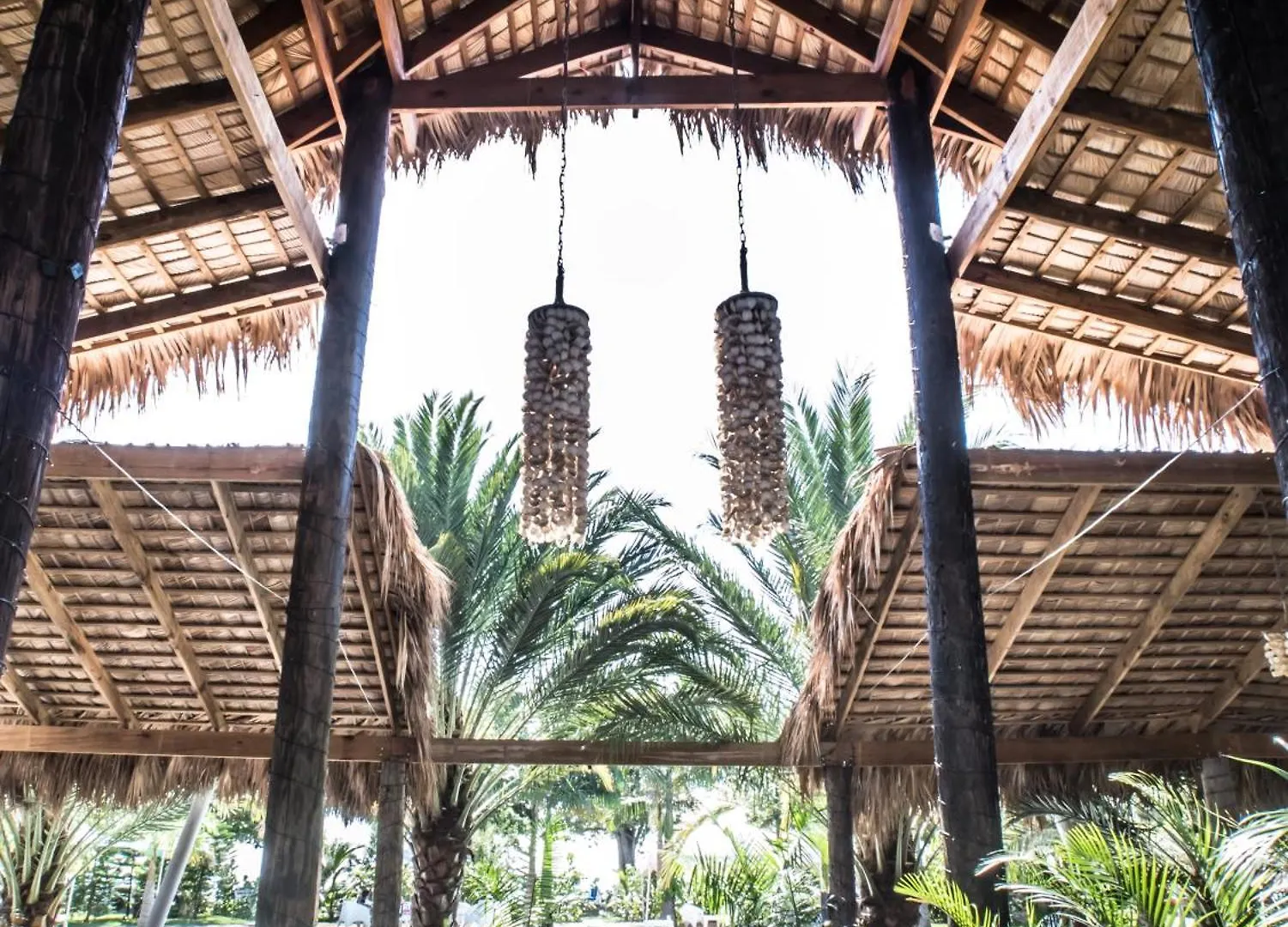 Coconut Paradise Beach Hotel Juan Baron 0*,  Dominicaanse Republiek