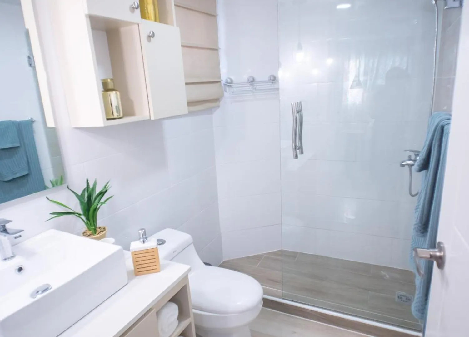 Apartment Coconut Paradise Beach Hotel Juan Baron