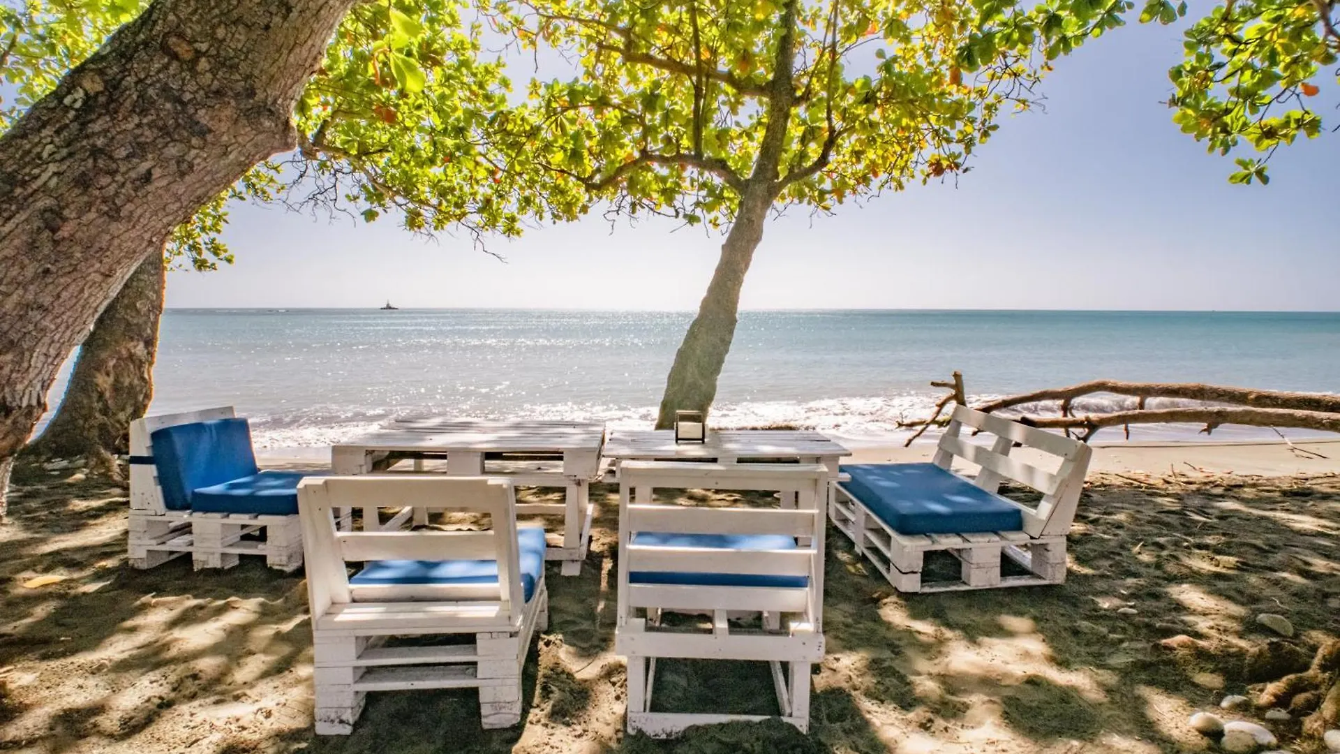 Coconut Paradise Beach Hotel Juan Baron 0*,